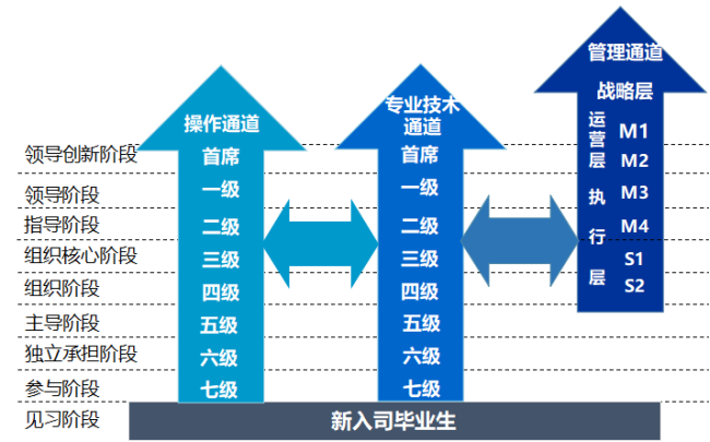 1570691913348940.png image.png